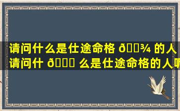 请问什么是仕途命格 🌾 的人（请问什 🐈 么是仕途命格的人呢）